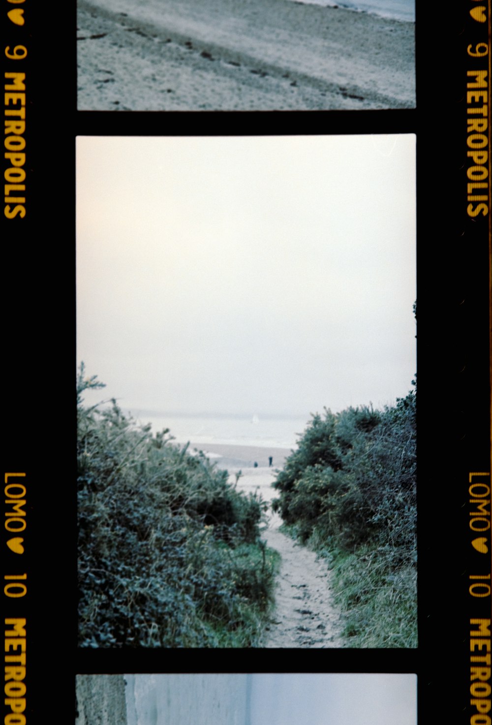 a series of photos of a path leading to the beach