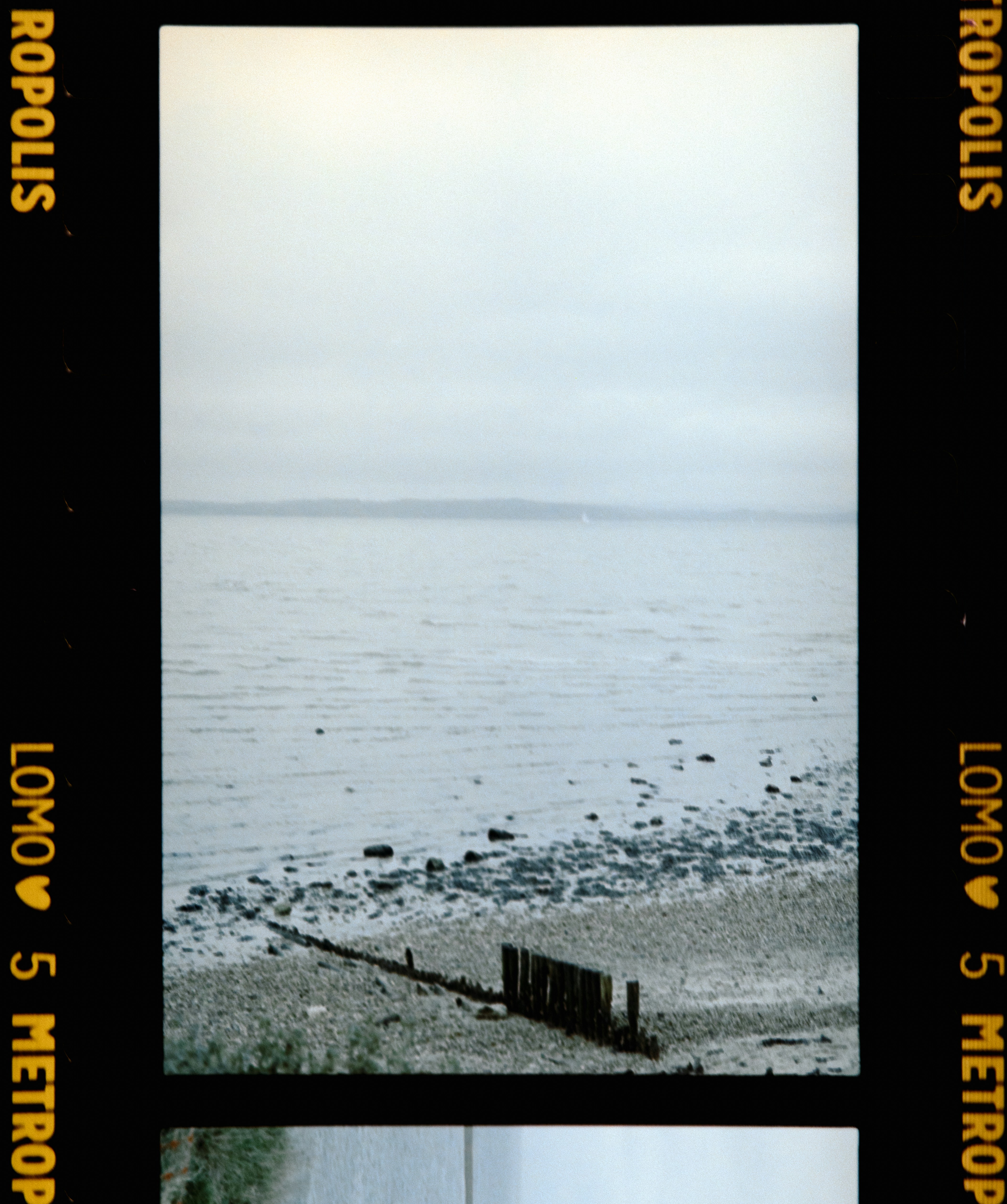 Photo by anniespratt