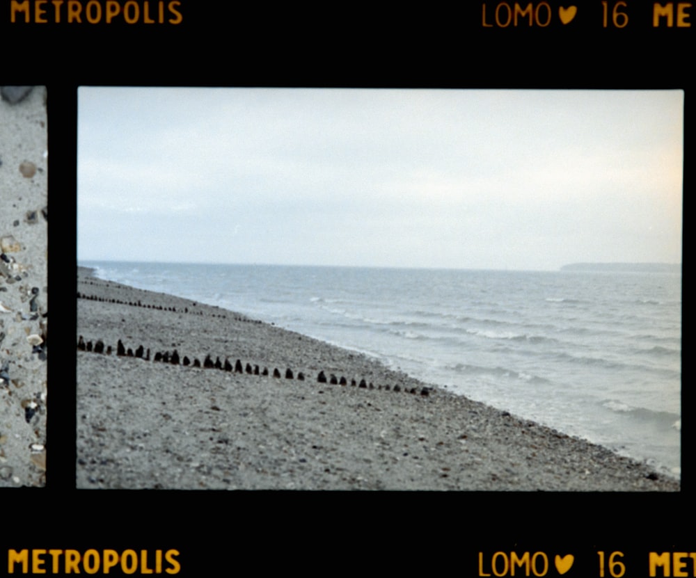 a couple of pictures of a beach next to the ocean