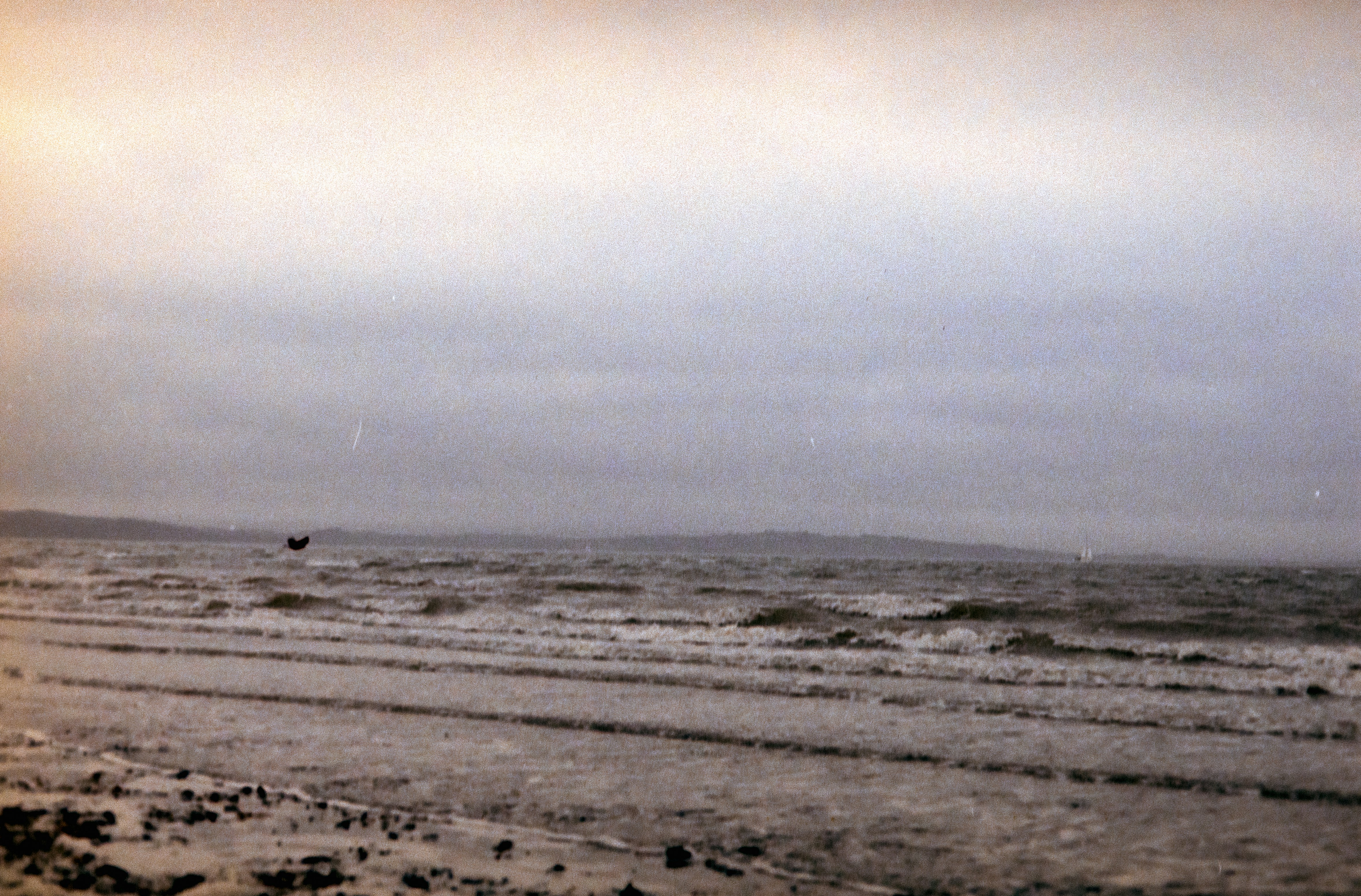 Photo by anniespratt