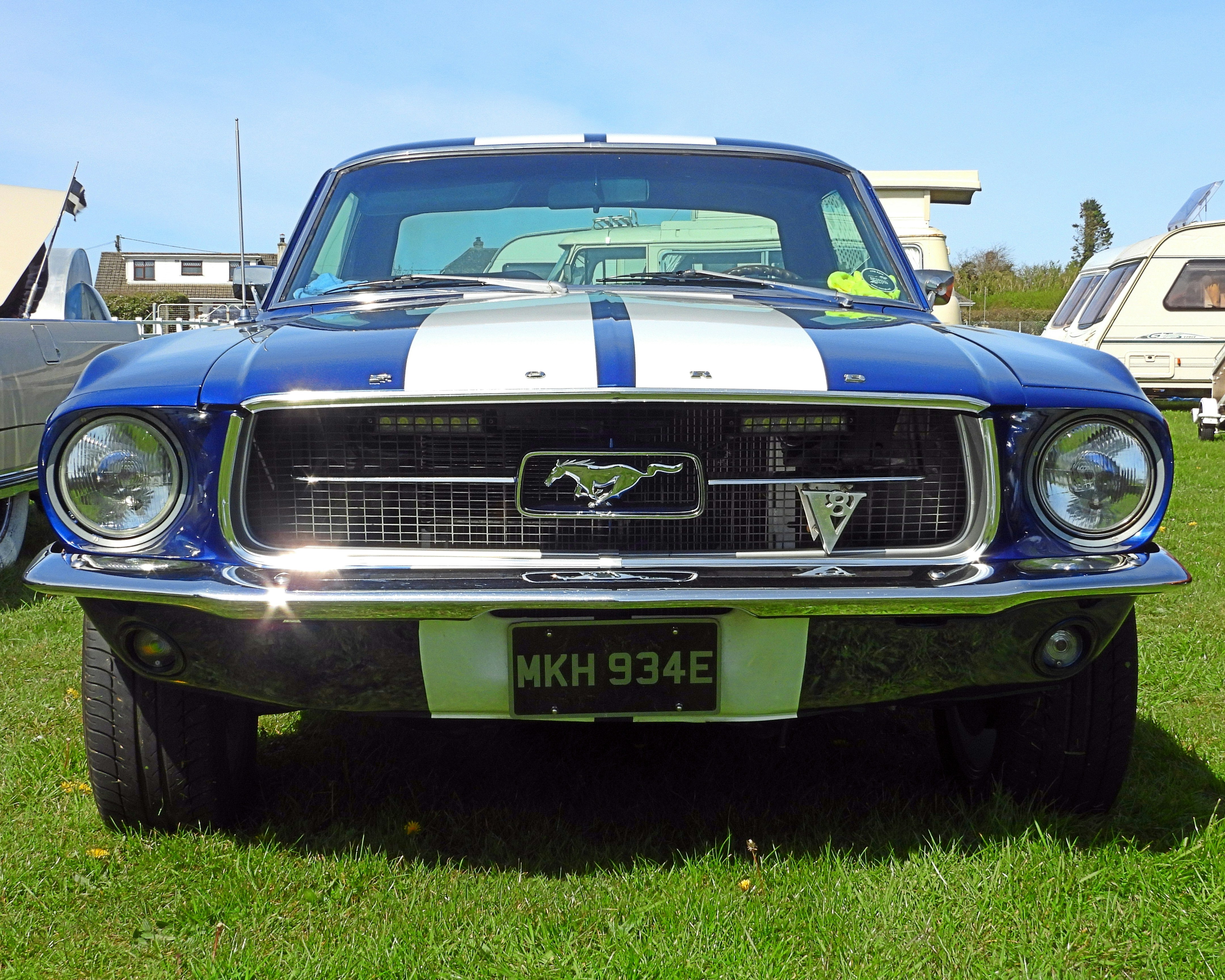 Una Mustang bianca e blu parcheggiata nell'erba