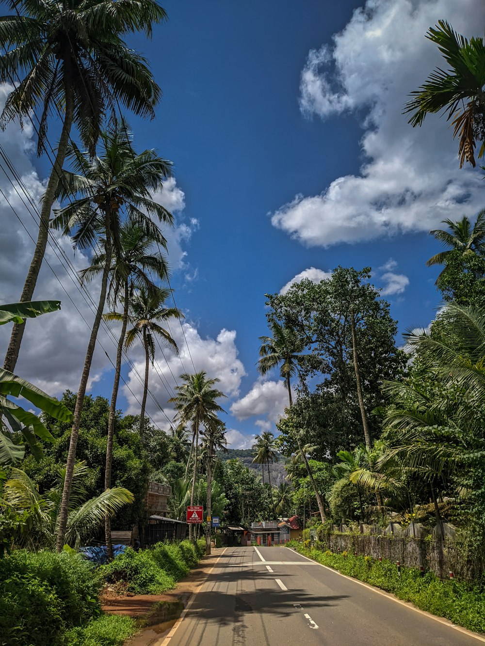 a street lined with palm trees under a cloudy blue sky