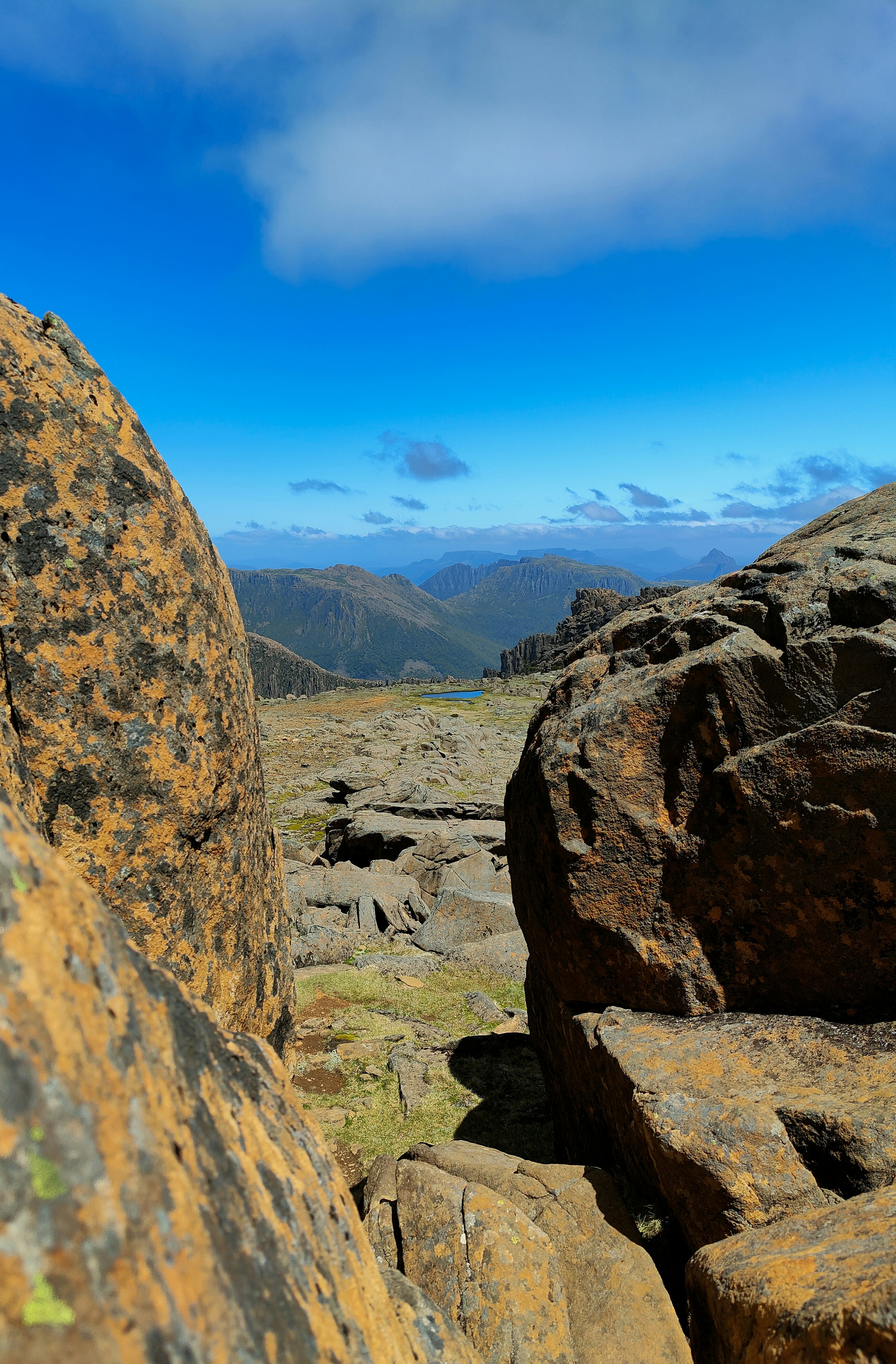 Photo by castingspells91_