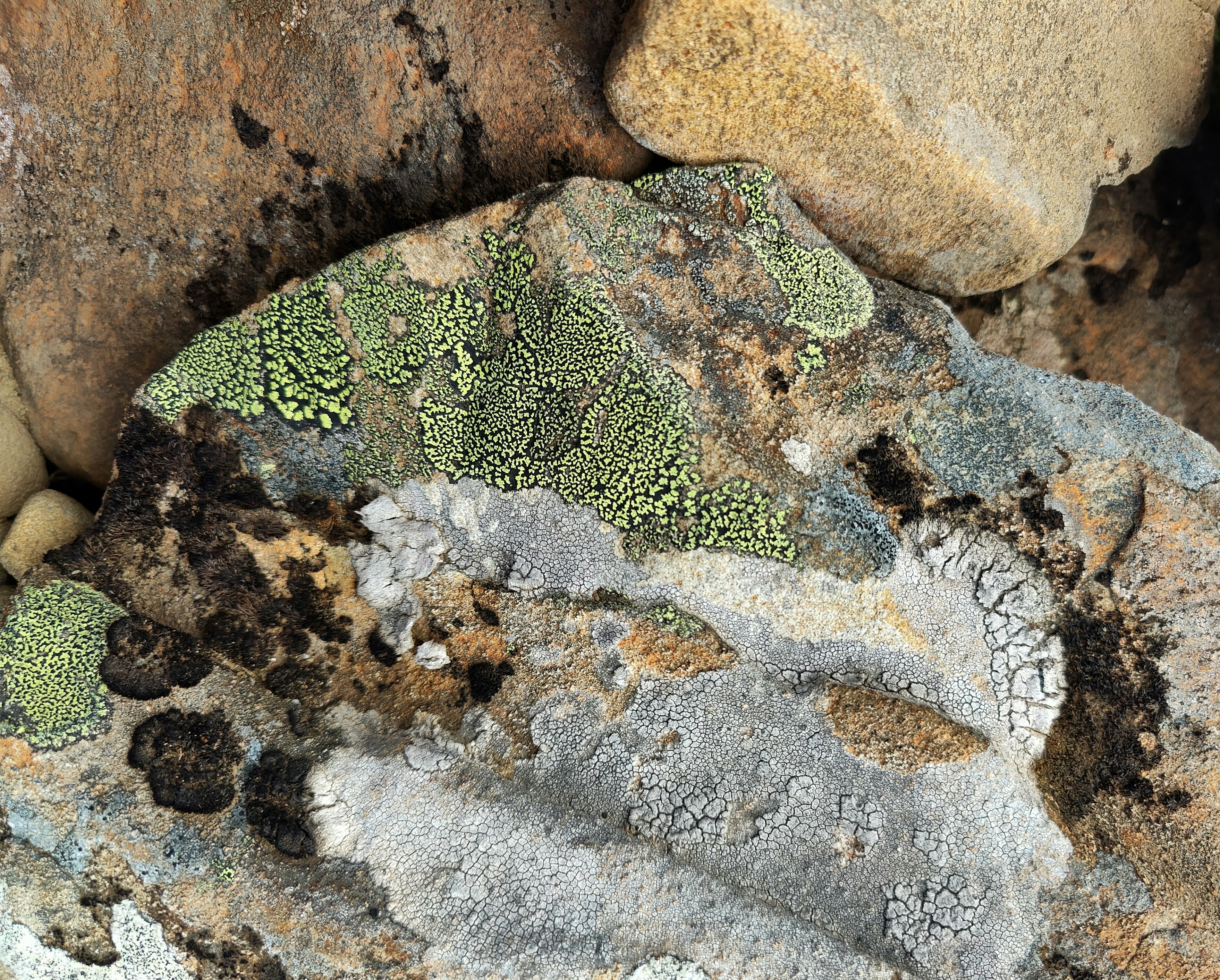 Photo by castingspells91_