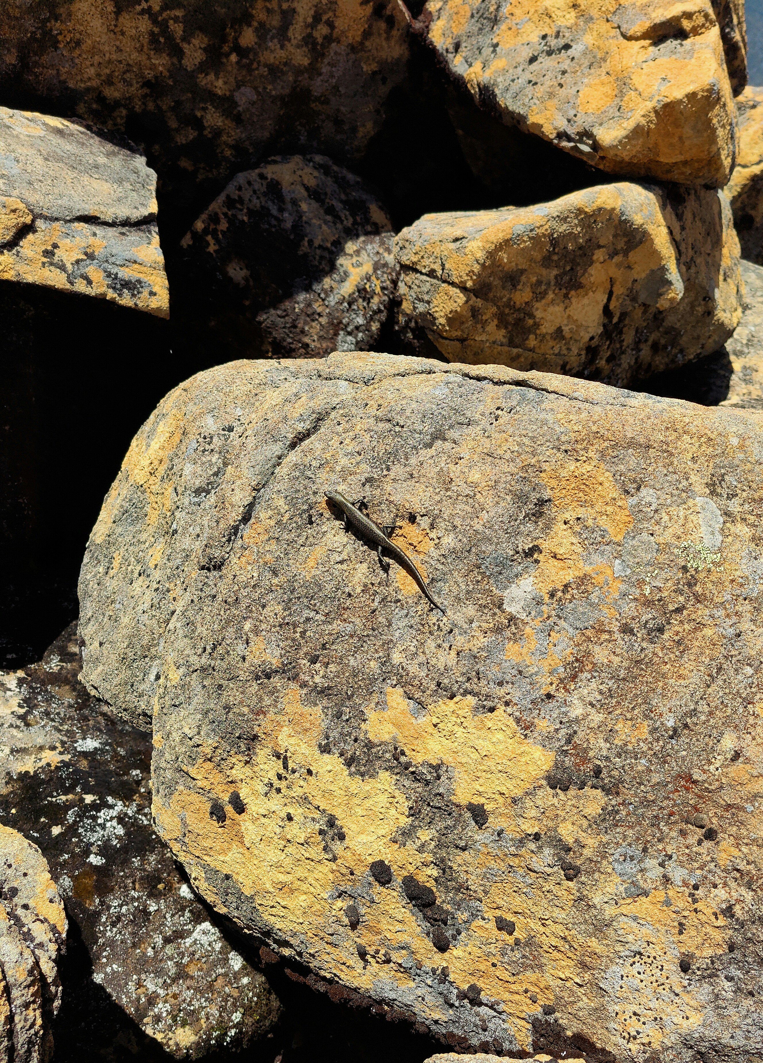 Photo by castingspells91_