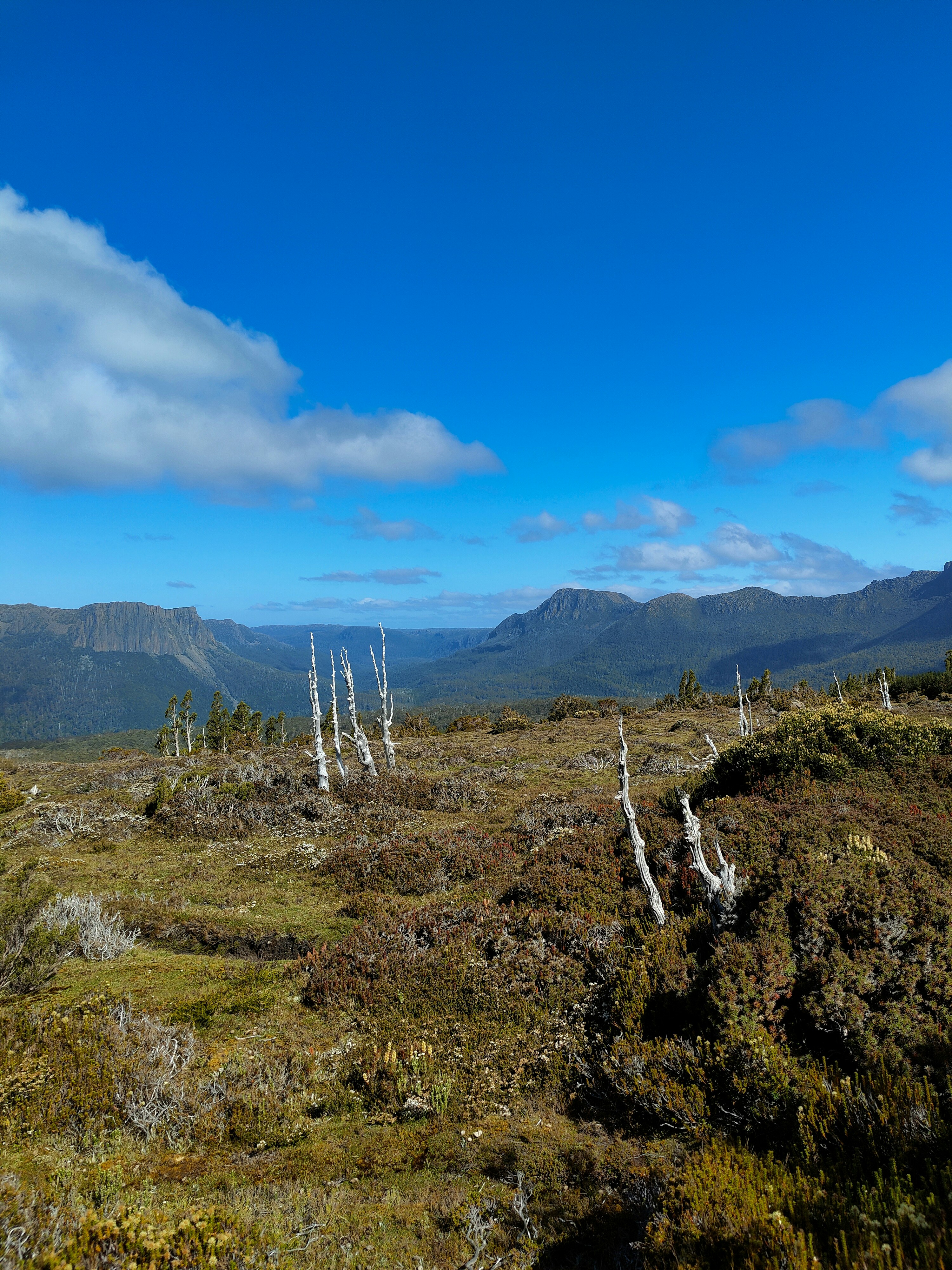 a view of a mountain range from a grassy area