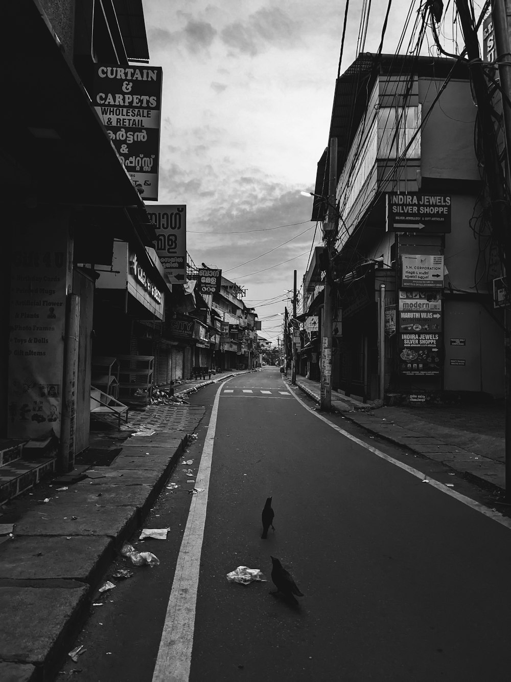 a black and white photo of a bird on a street
