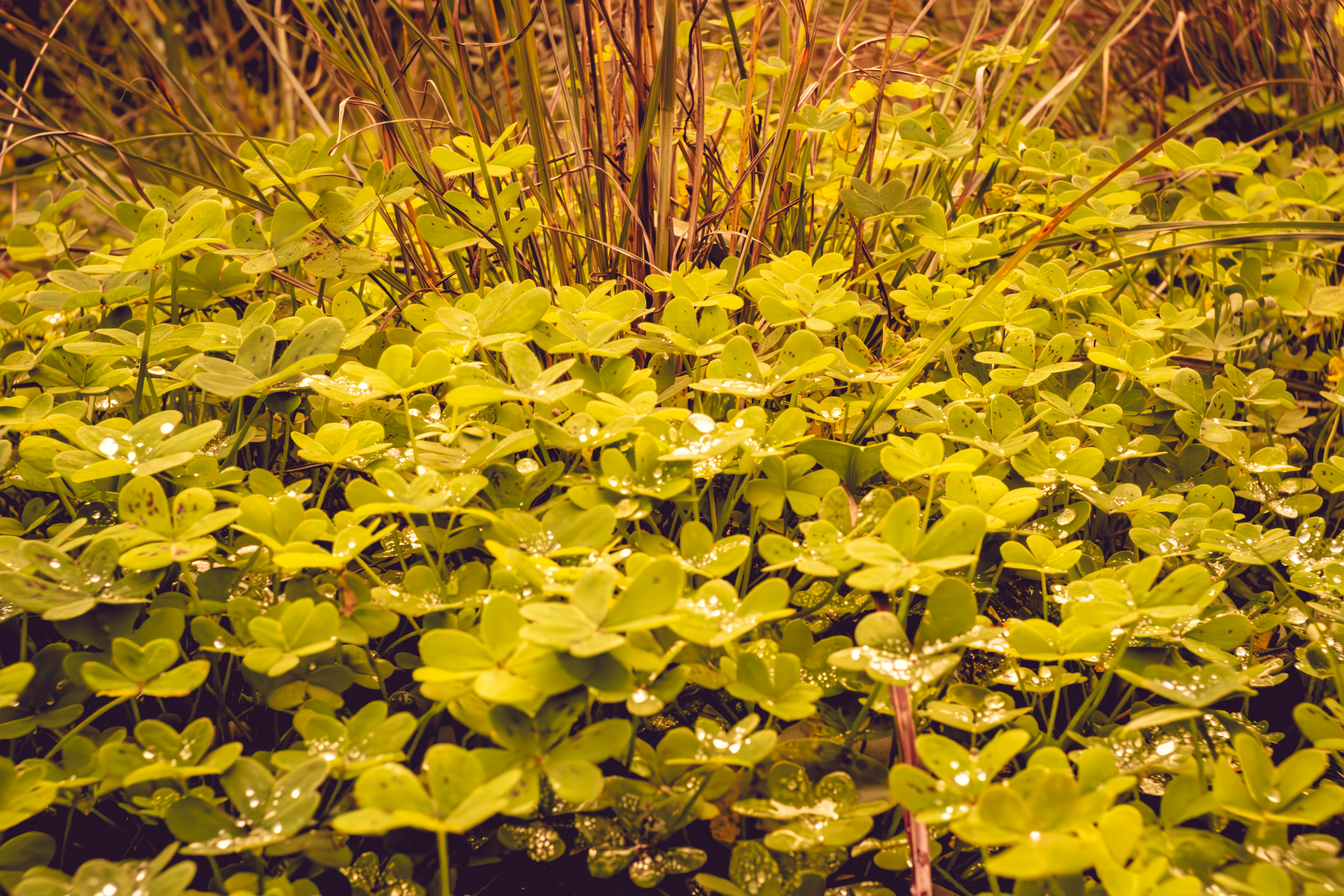 Photo by borjaverbena