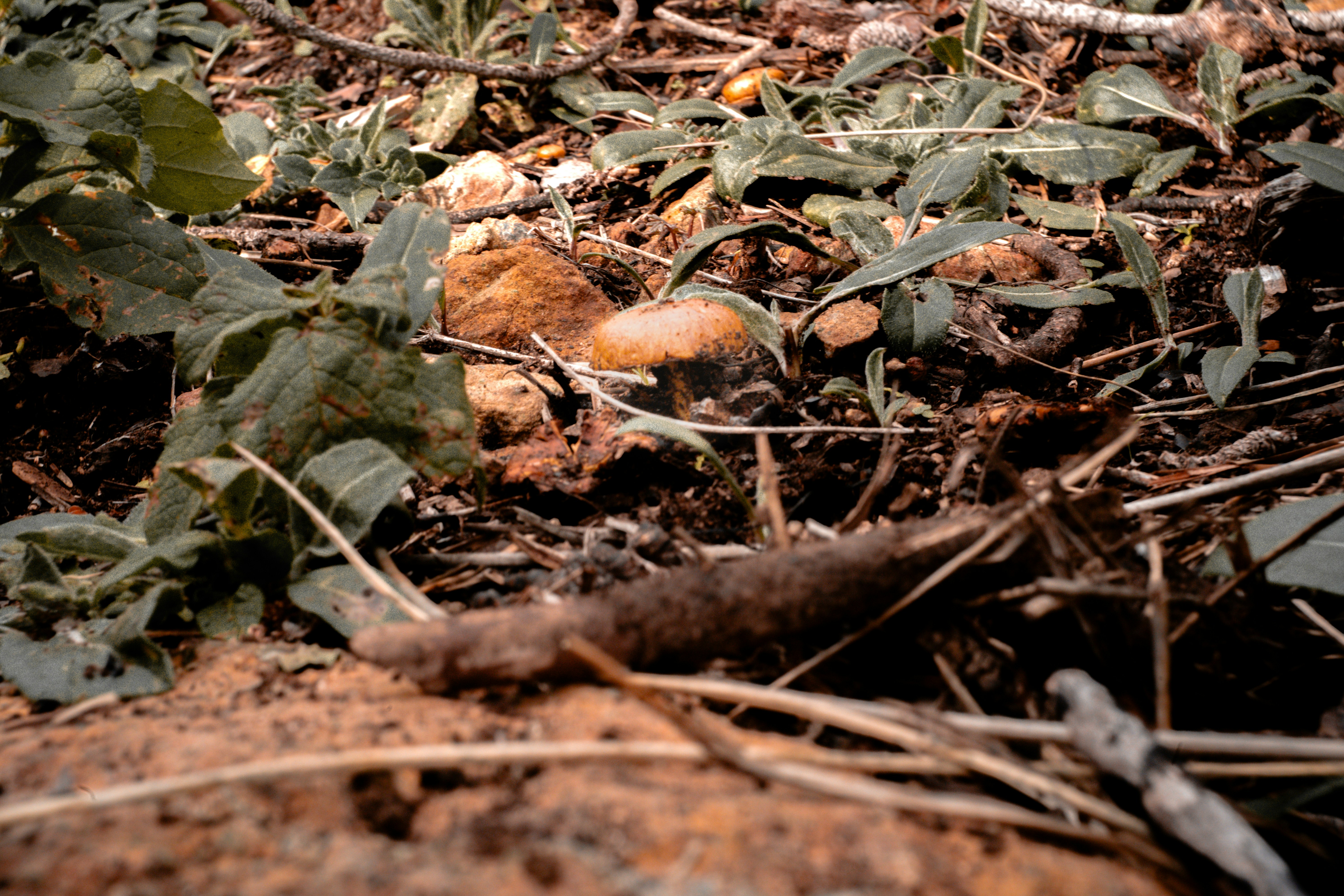 Photo by borjaverbena