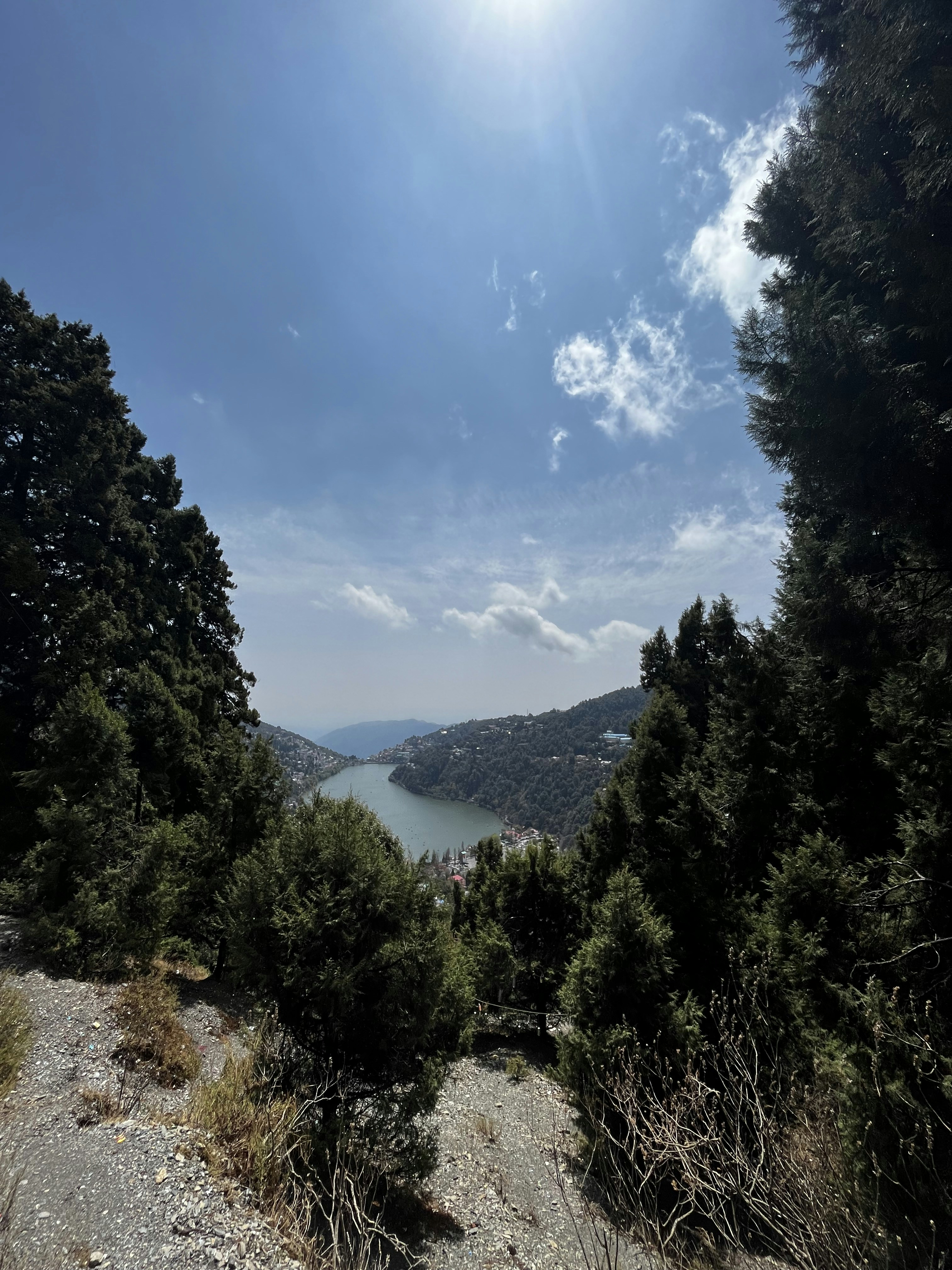 Photo by bumblebee_338