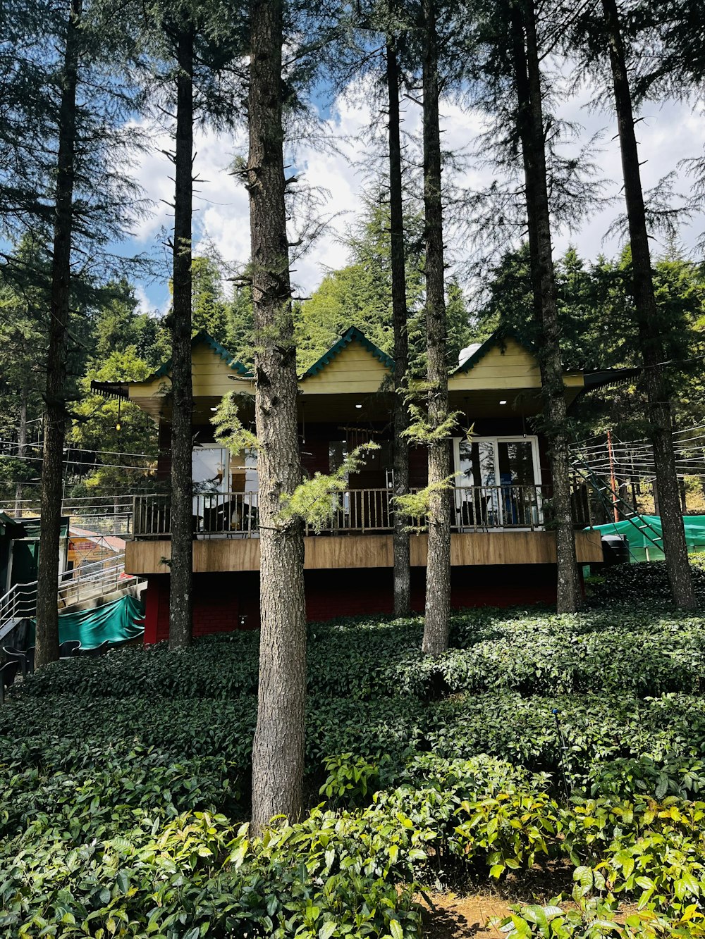 a house in the middle of a wooded area