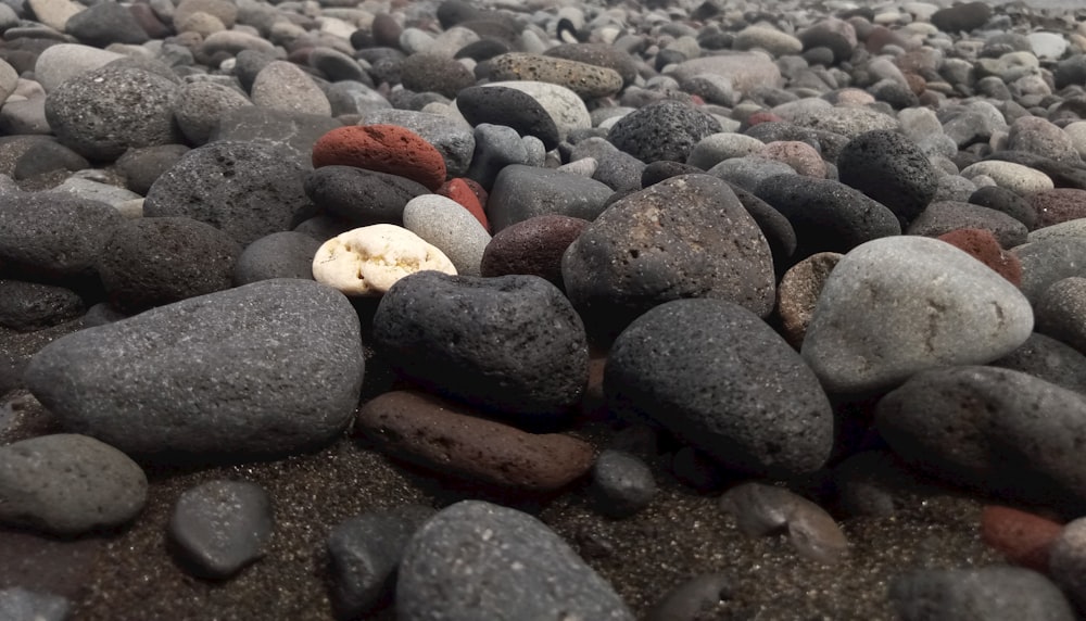 a bunch of rocks that are laying on the ground