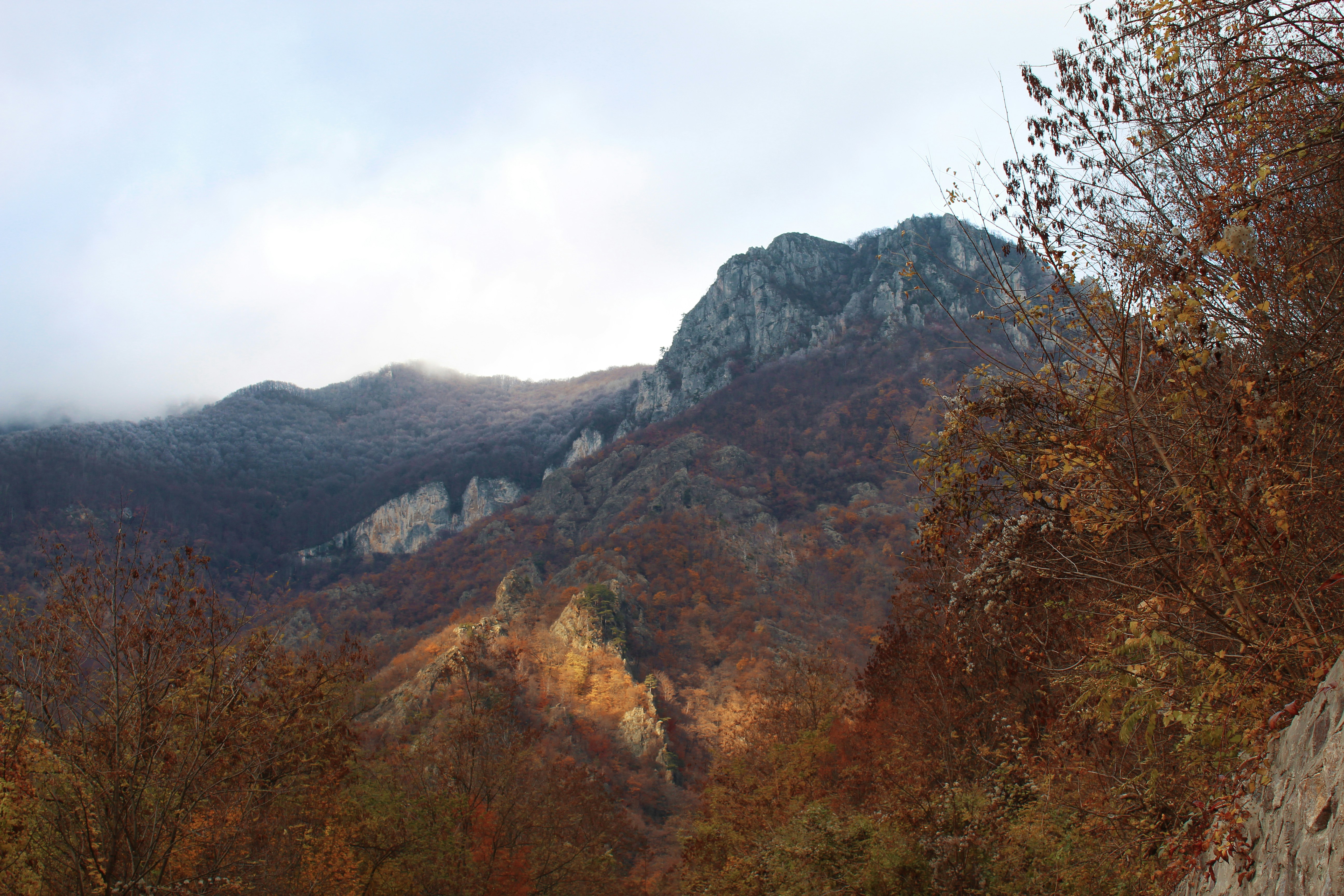 a view of a mountain range with trees in the foreground