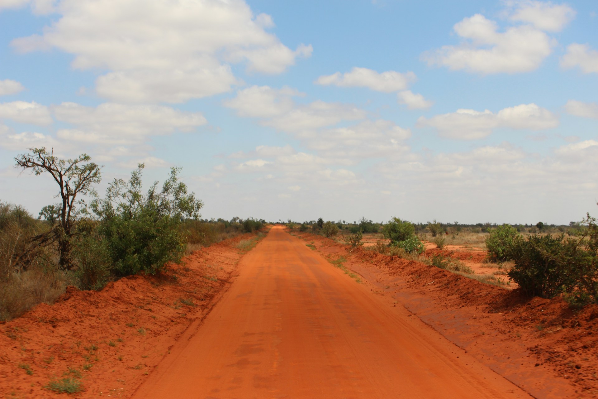 a dirt road in the middle of the desert