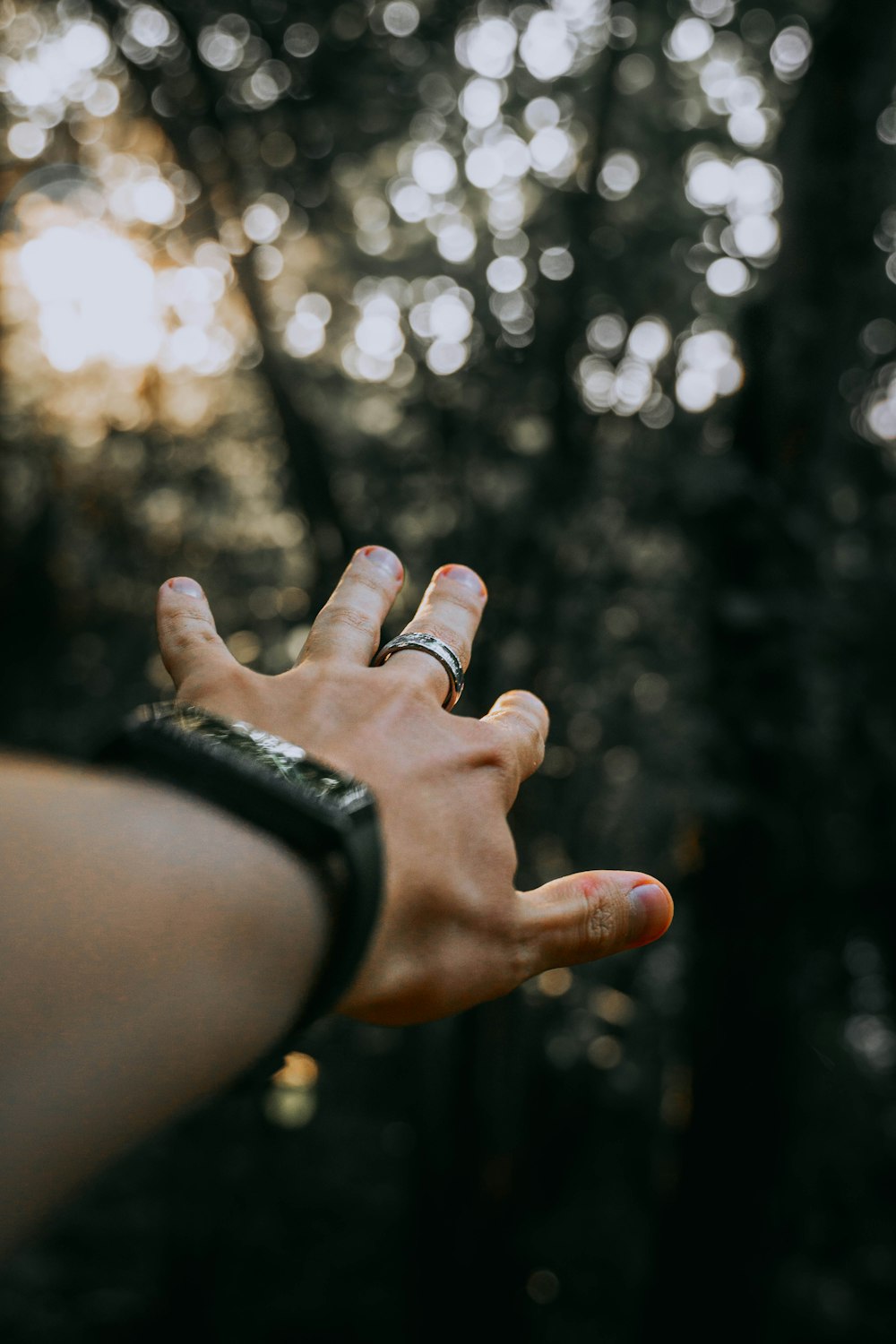 a person holding their hand out in the woods