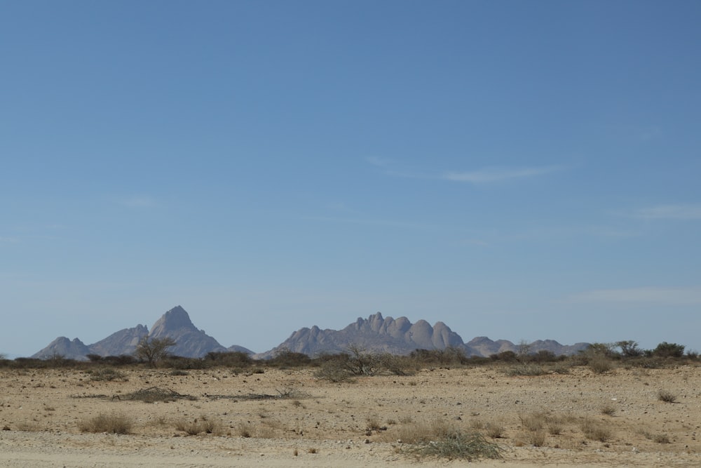 a dirt field with mountains in the background