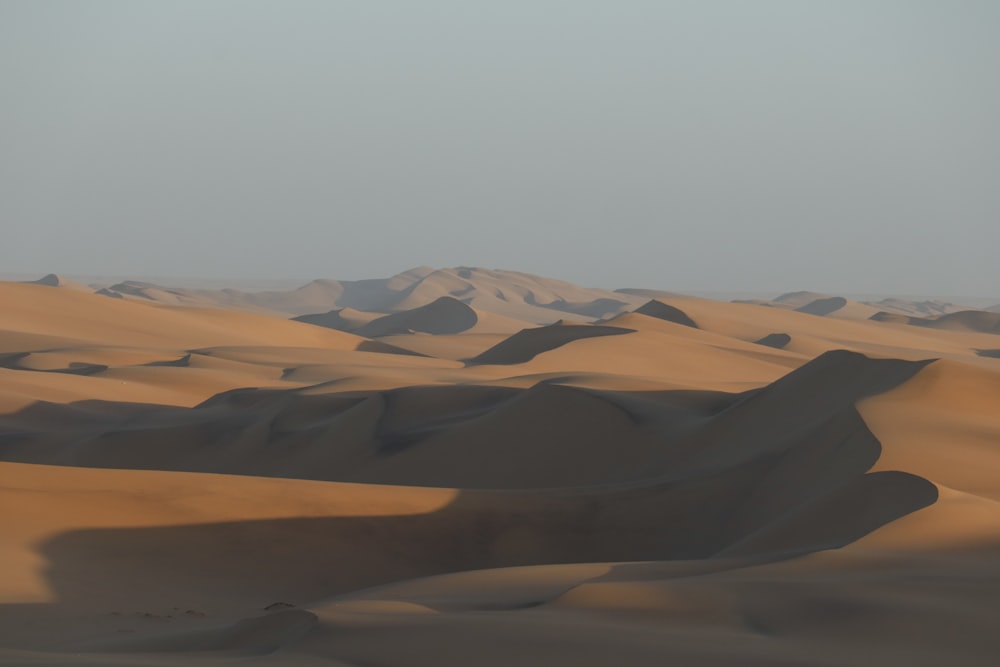 a group of sand dunes in the desert