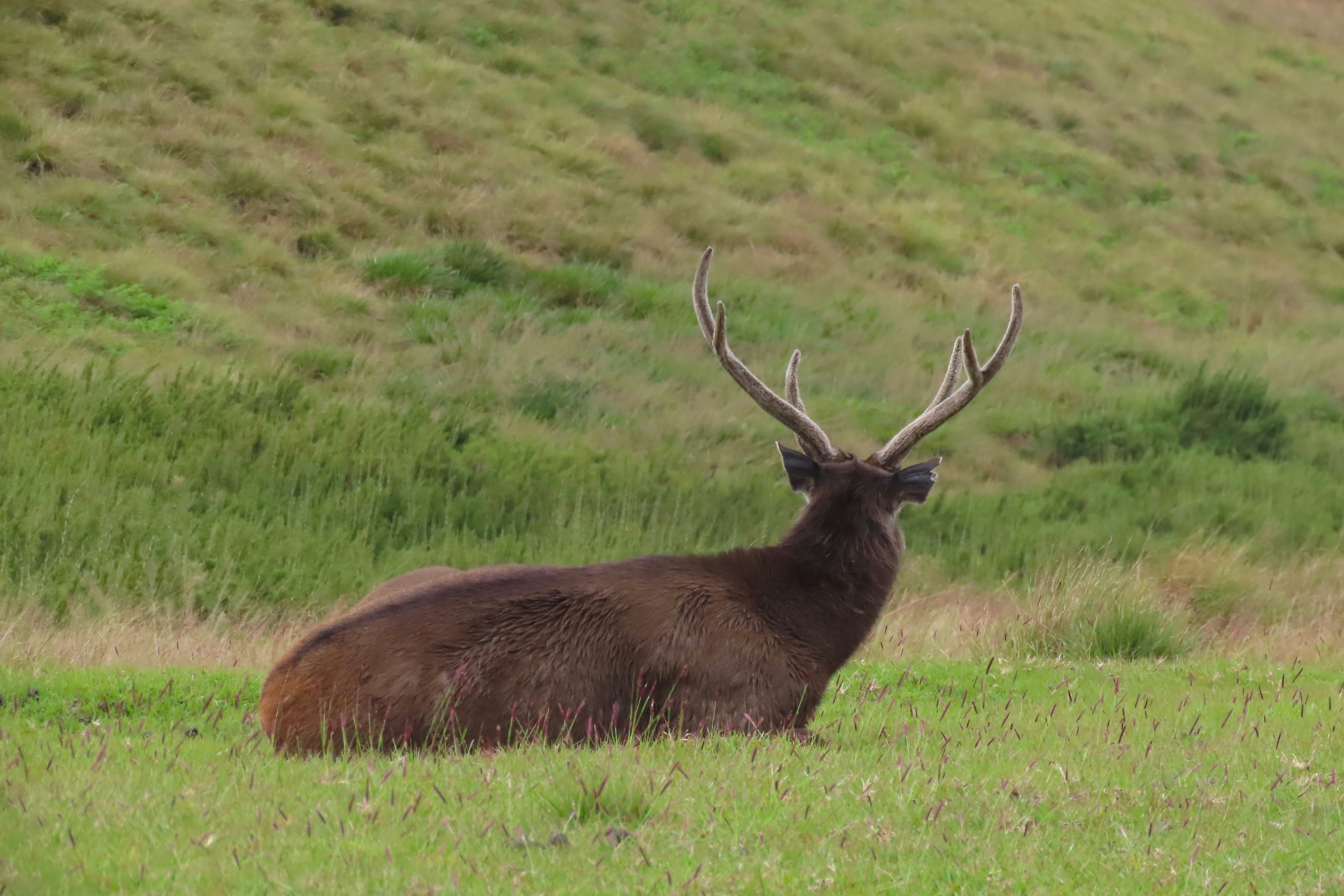 Aventura em Horton Plains (4 dias) – Lakpura®, image size:3000x2000
