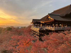 a pagoda on top of a hill with trees in the foreground