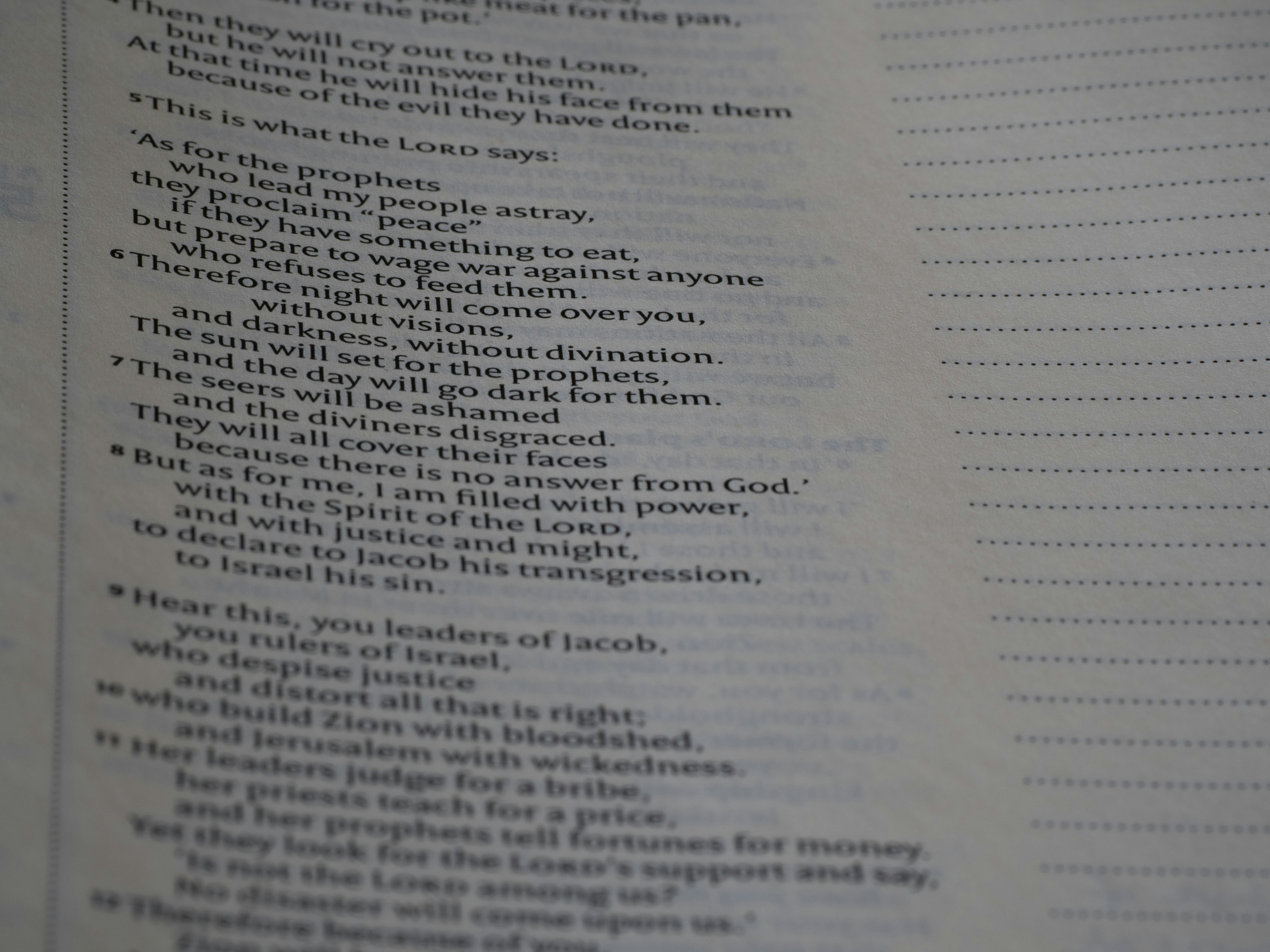 Photo by brett_jordan