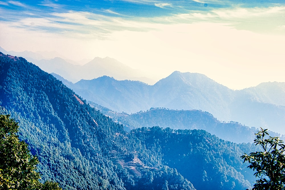 a scenic view of a mountain range with trees in the foreground