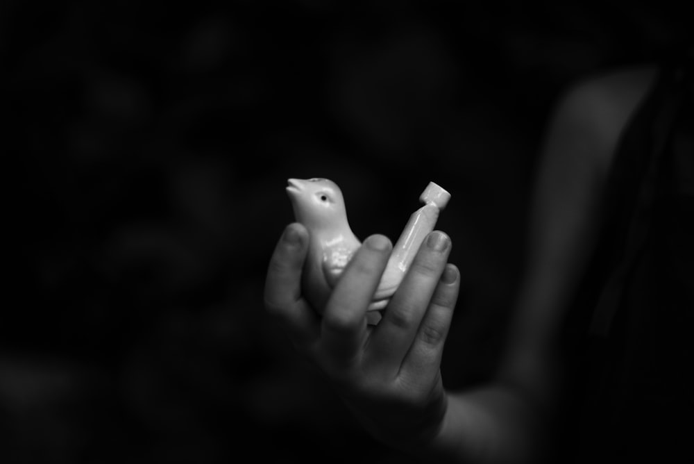 a black and white photo of a person holding a small bird
