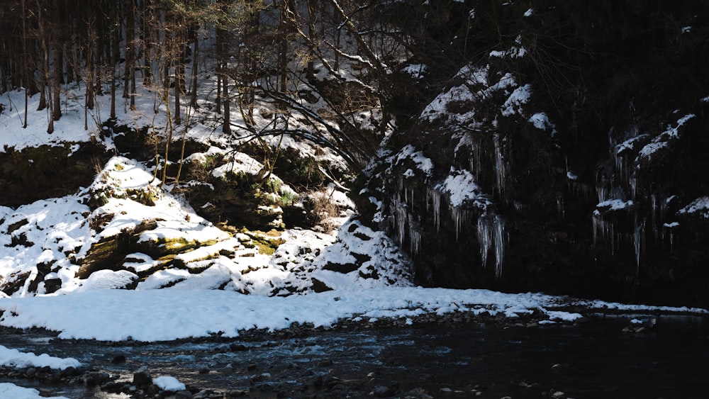 a stream running through a snow covered forest