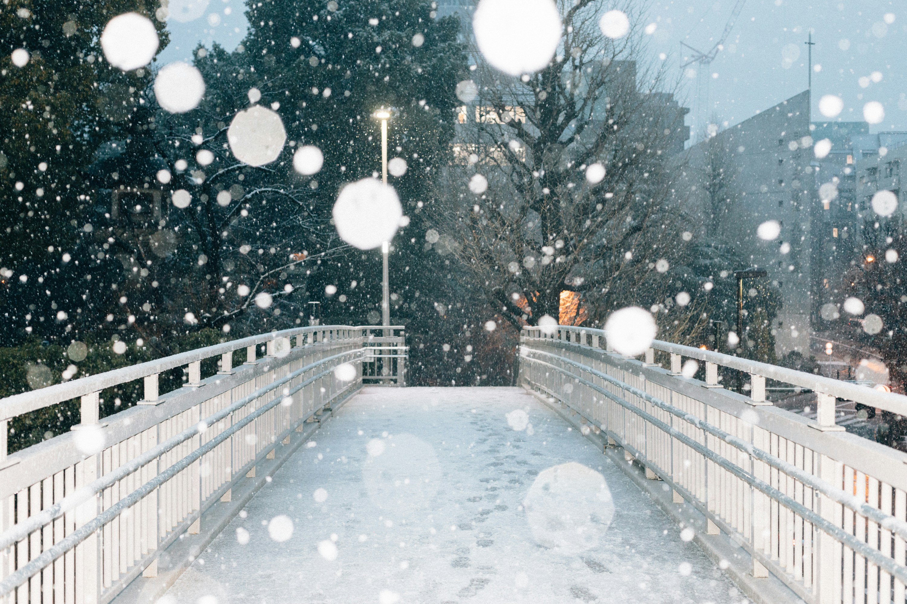 Photo by tsuyoshikozu