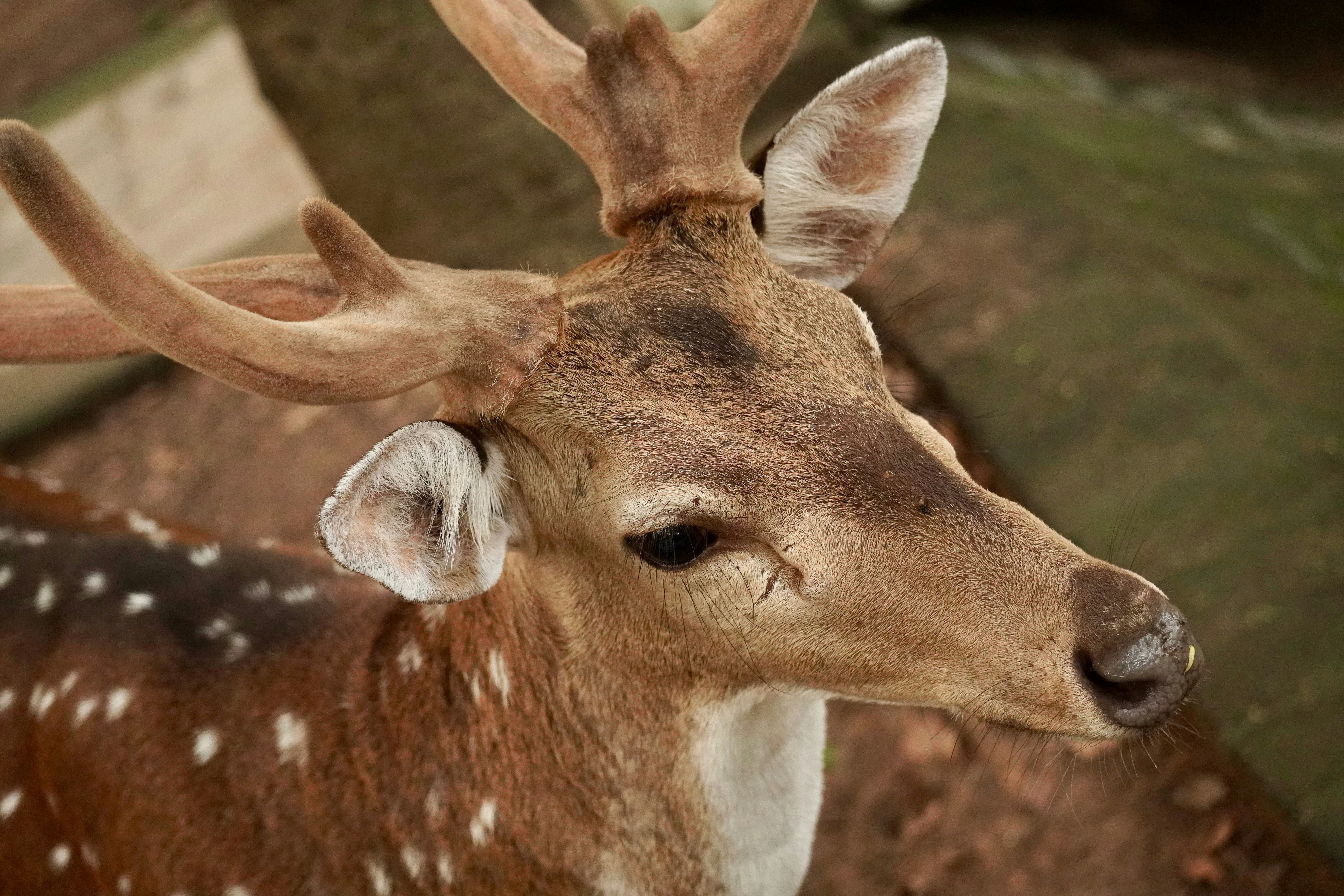 Photo by nikhil_sachan