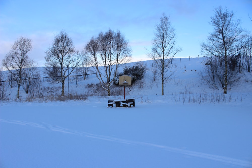 a snow covered field with trees and a house in the background