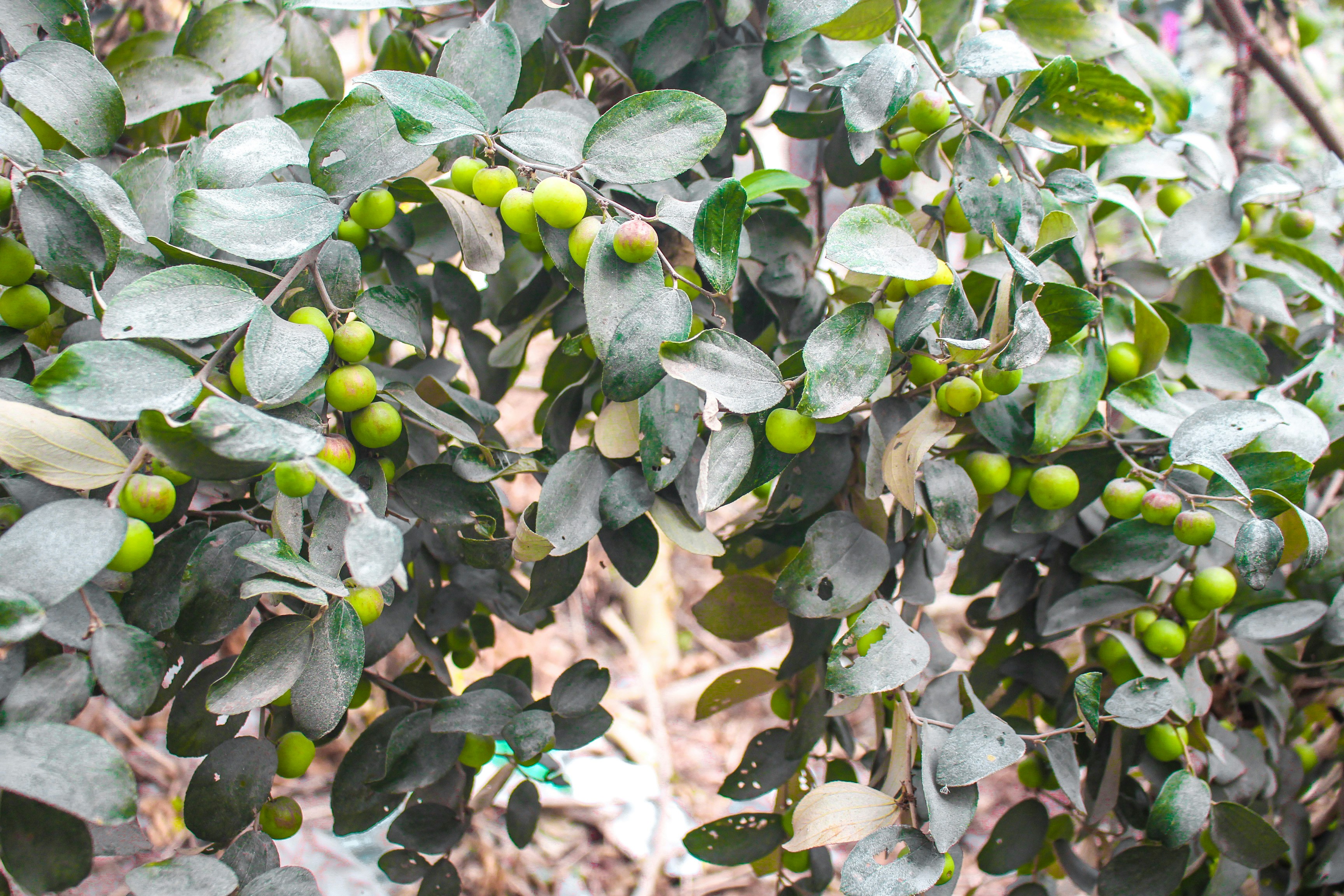 Photo by nishankatuwal7