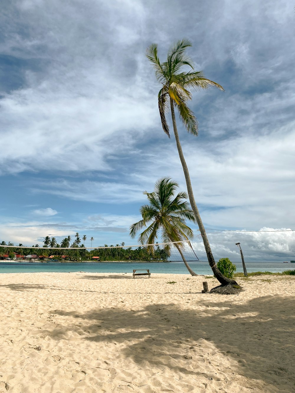 eine Palme an einem Strand mit blauem Himmel