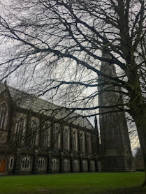 a large building with a tall tower and a tree in front of it