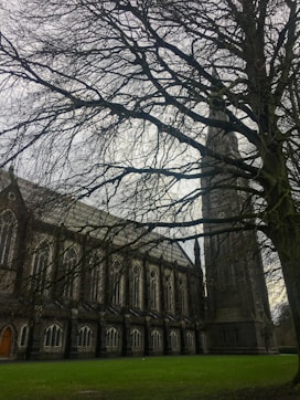 a large building with a tall tower and a tree in front of it