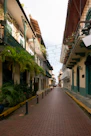 a brick street lined with buildings and palm trees