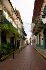 a brick street lined with buildings and palm trees