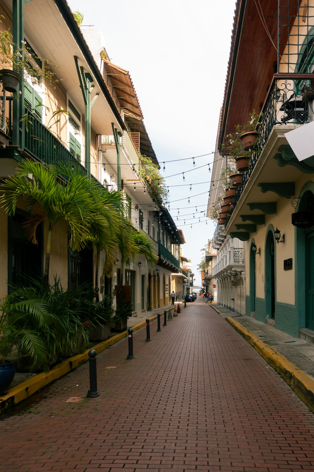 a brick street lined with buildings and palm trees