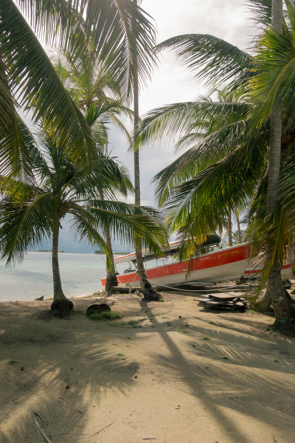 a red and white boat sitting on top of a beach next to palm trees