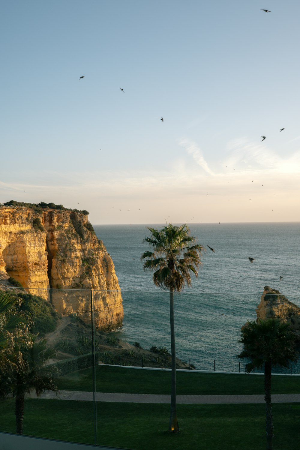 a view of the ocean from a hill top