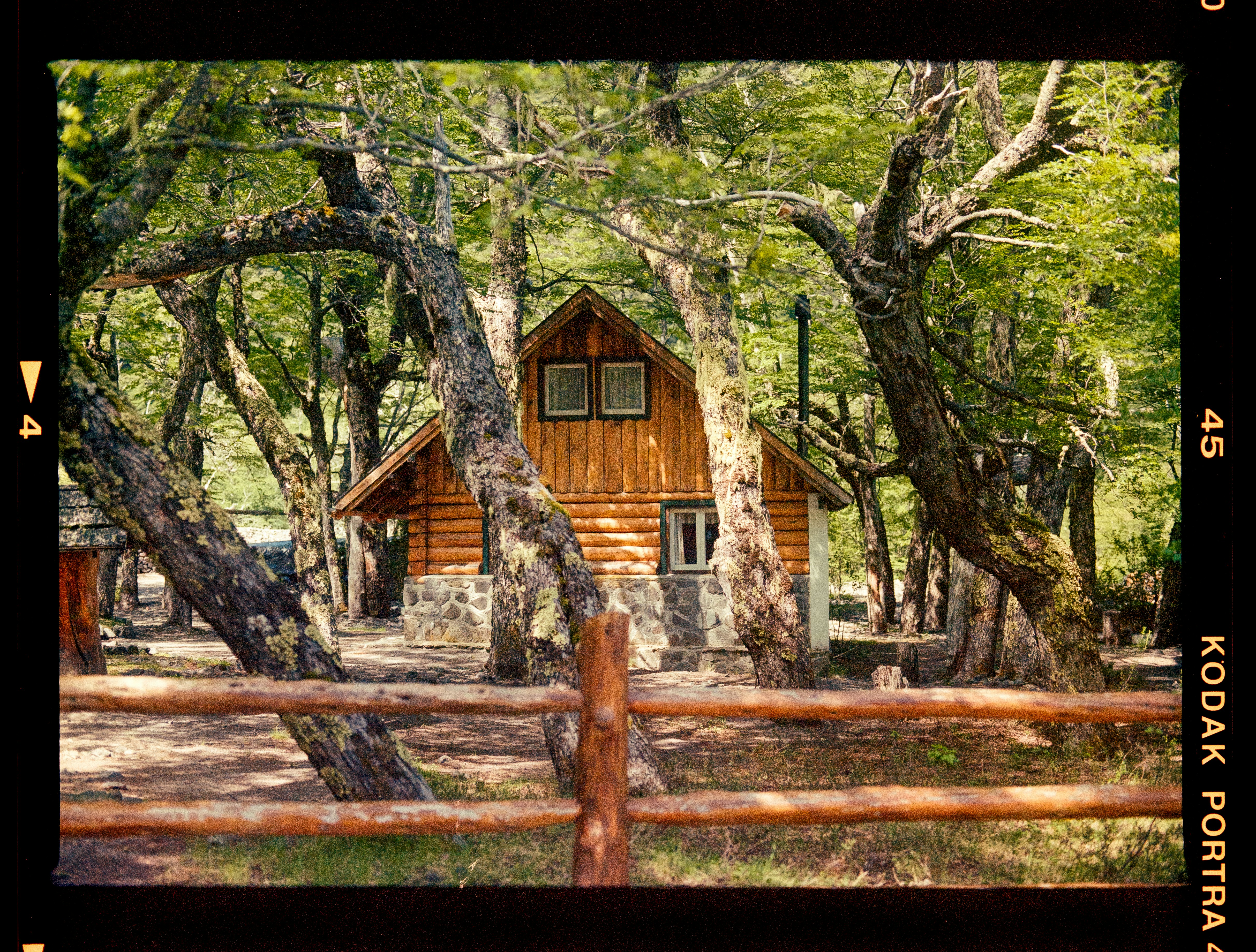 a log cabin surrounded by trees in the woods