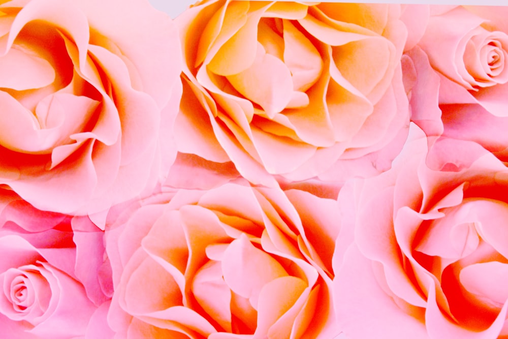 a close up of a bunch of paper flowers