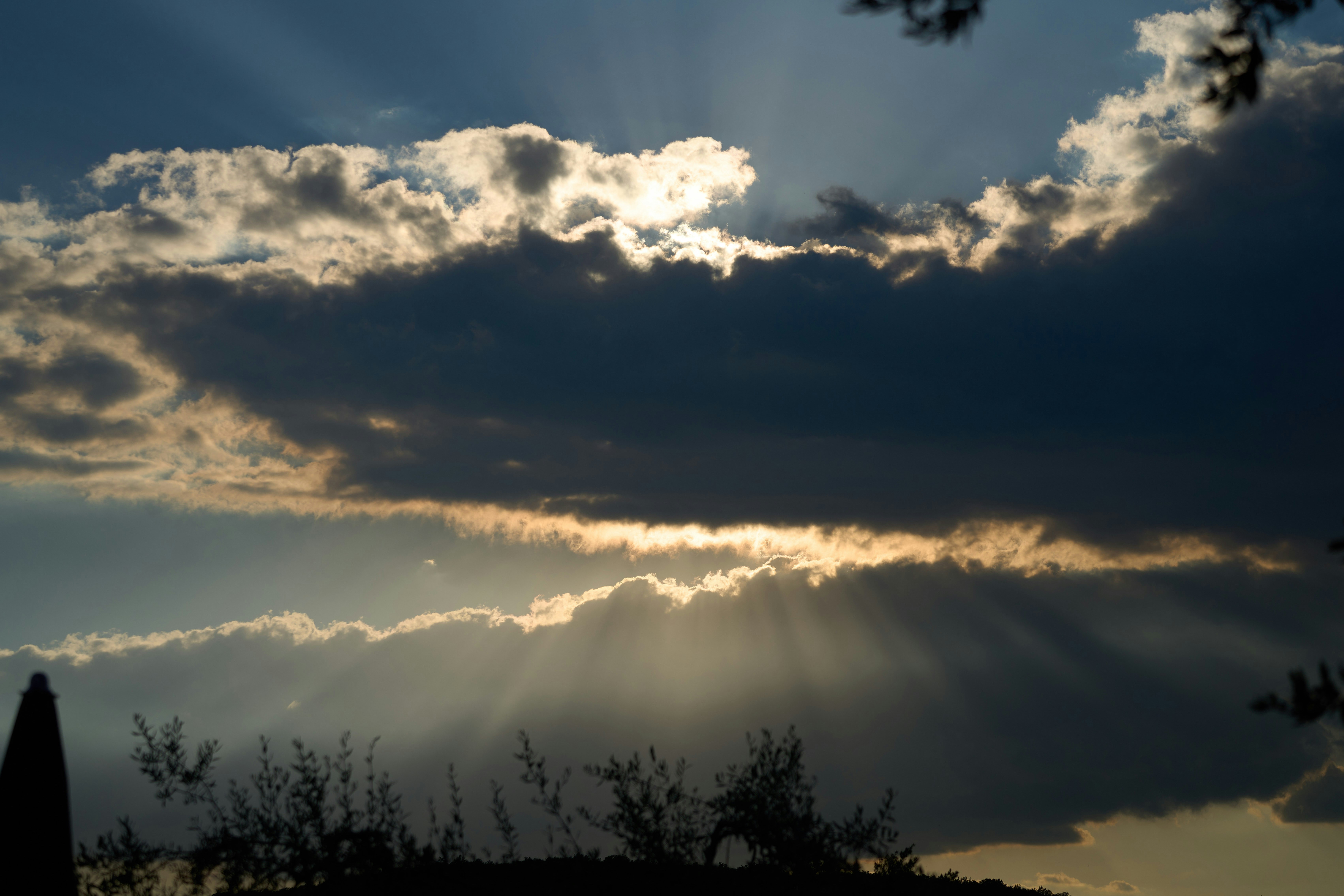 Photo by wolfgang_hasselmann