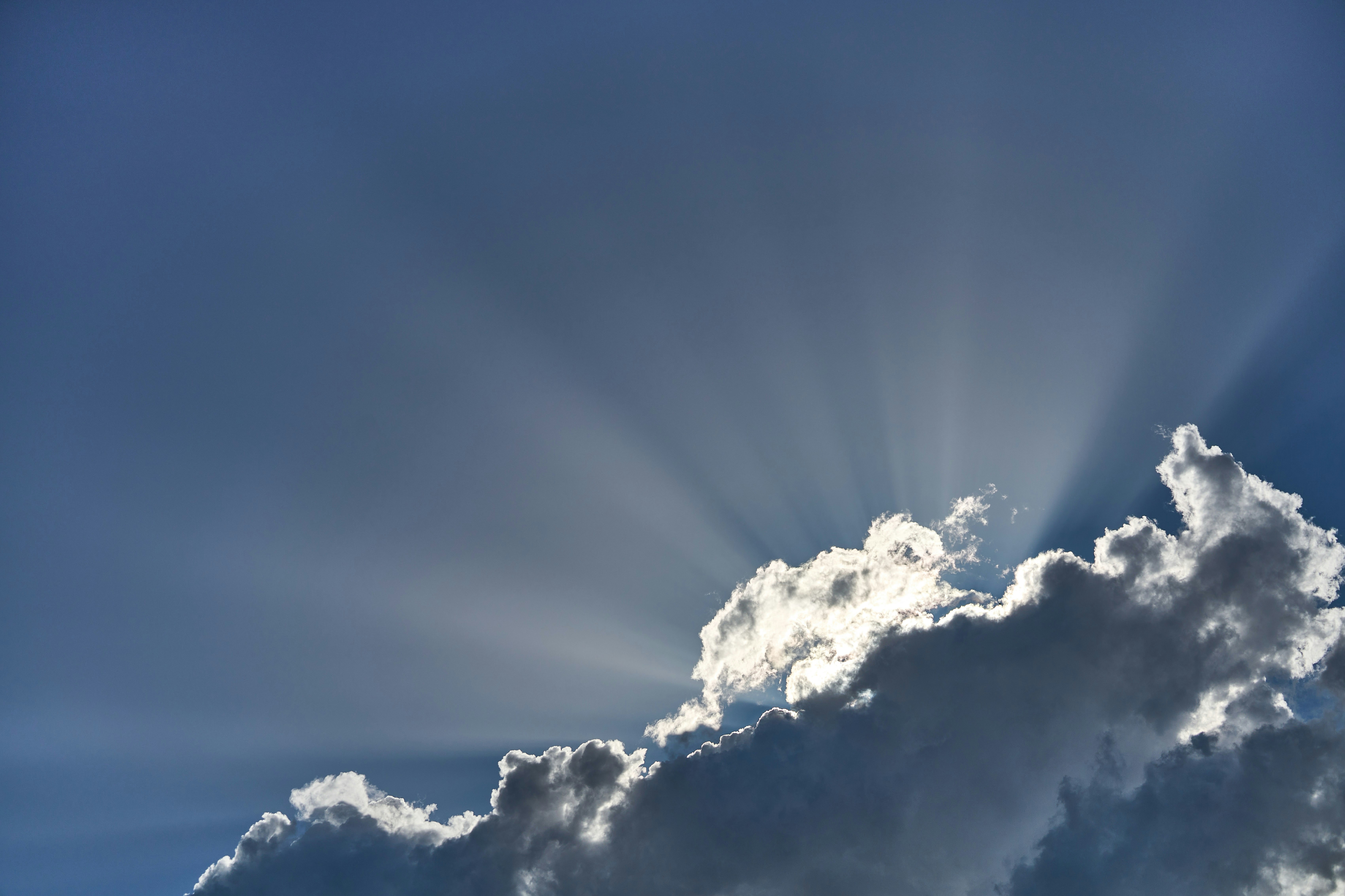 Photo by wolfgang_hasselmann