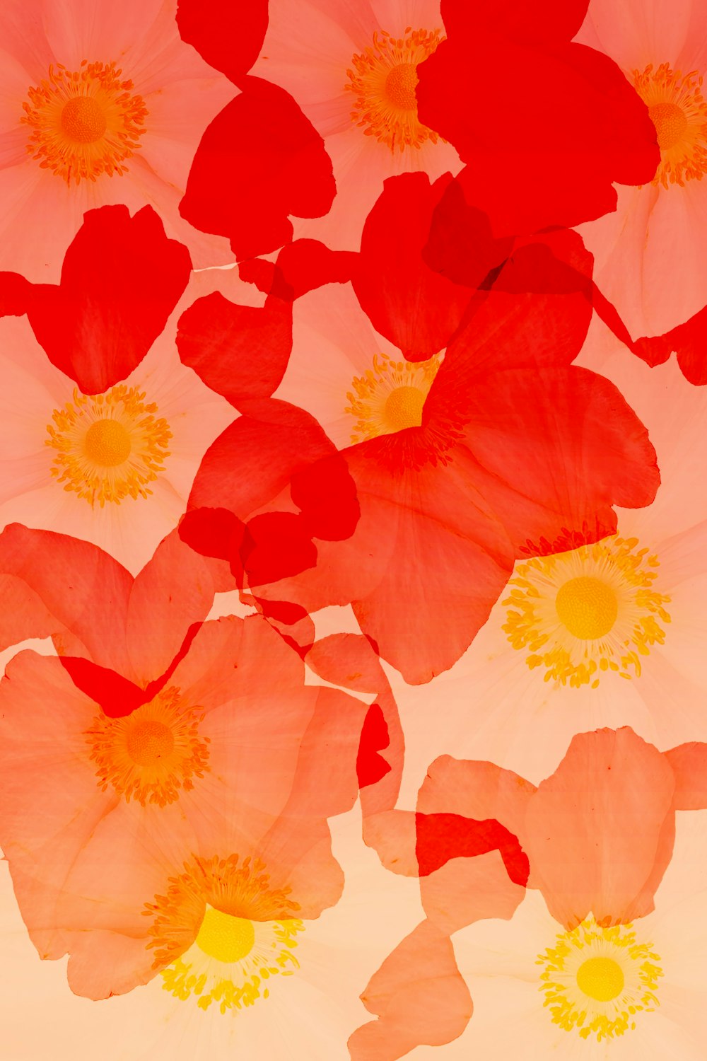 a bunch of flowers that are on a table