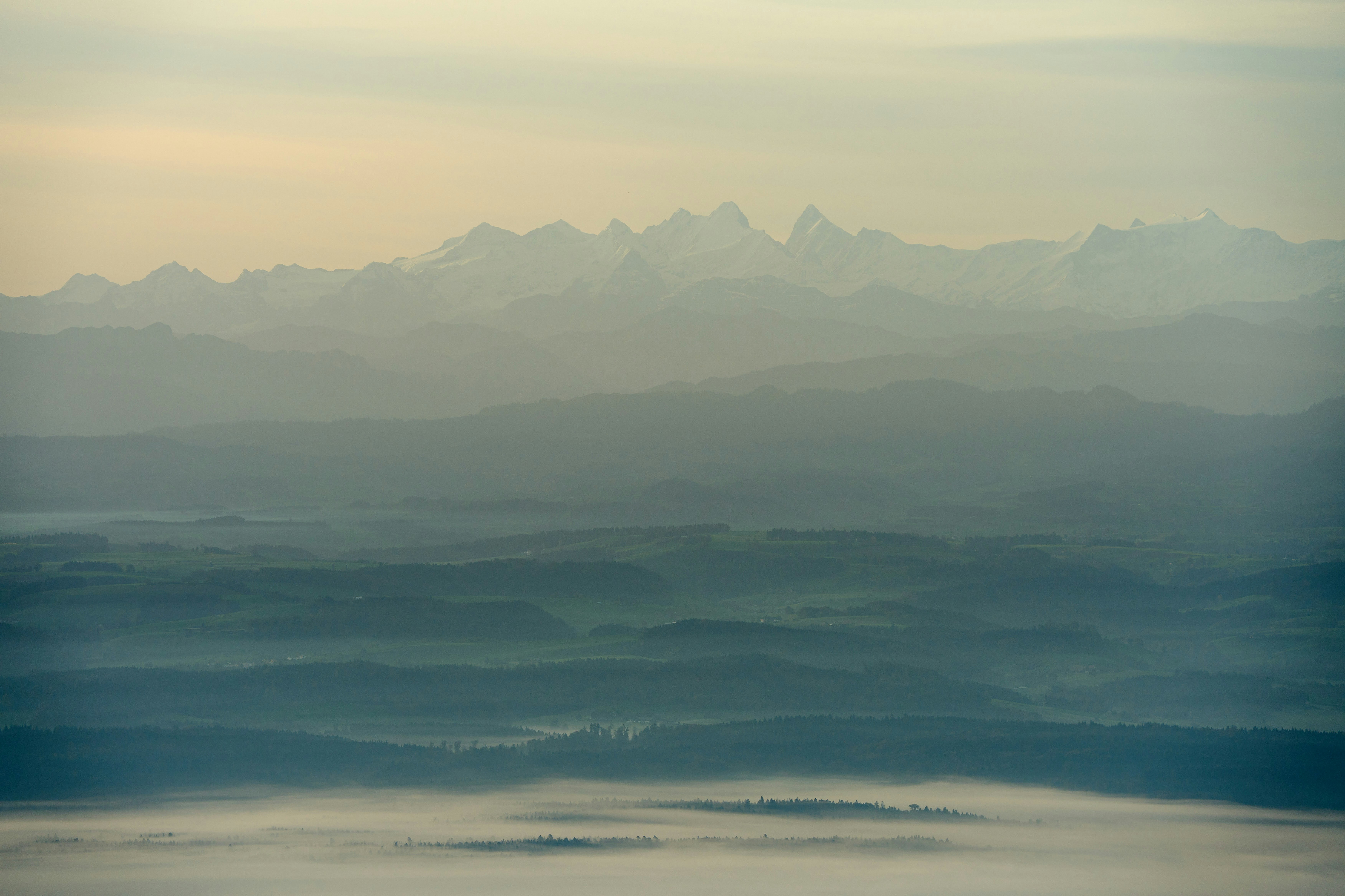 Photo by wolfgang_hasselmann