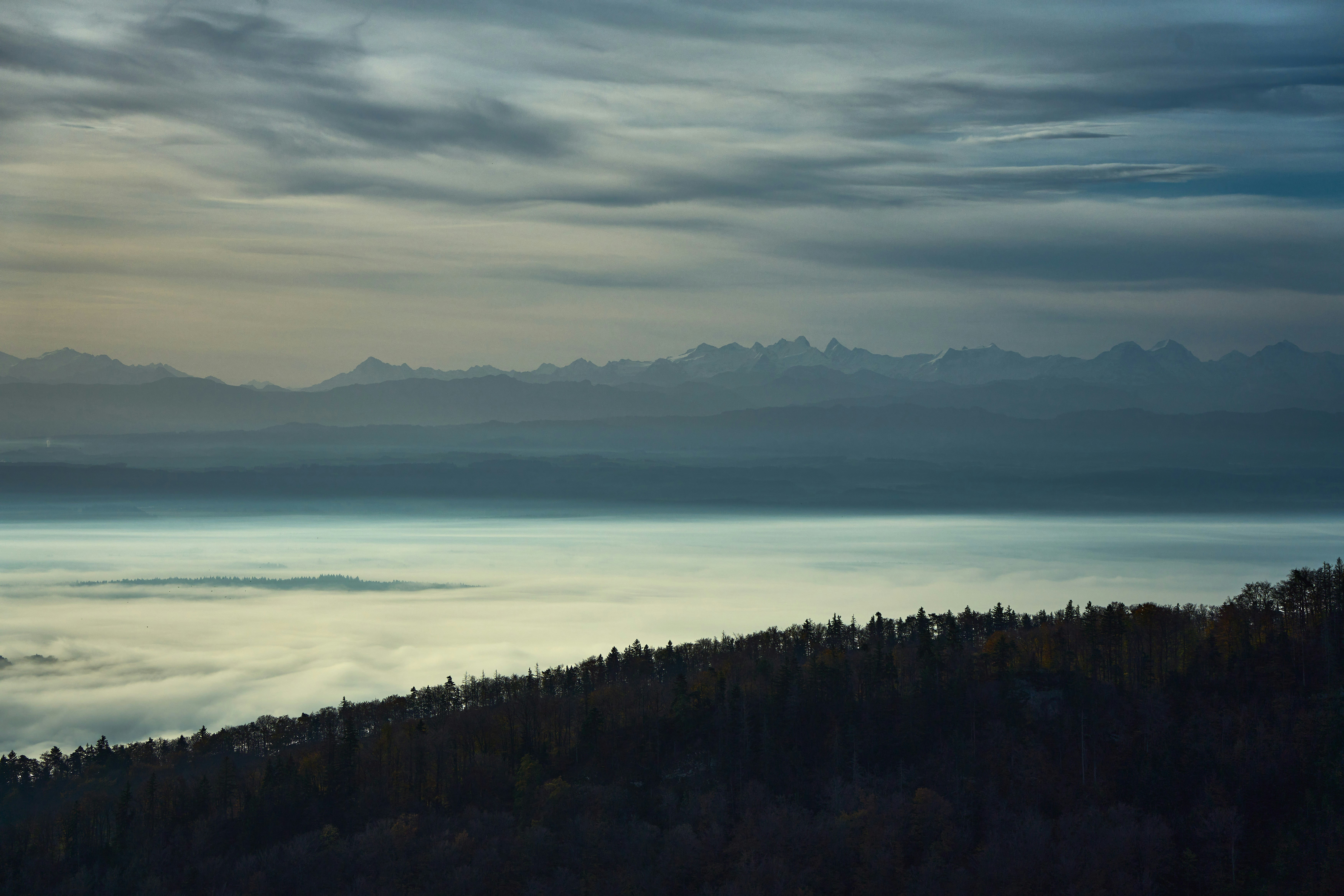 Photo by wolfgang_hasselmann