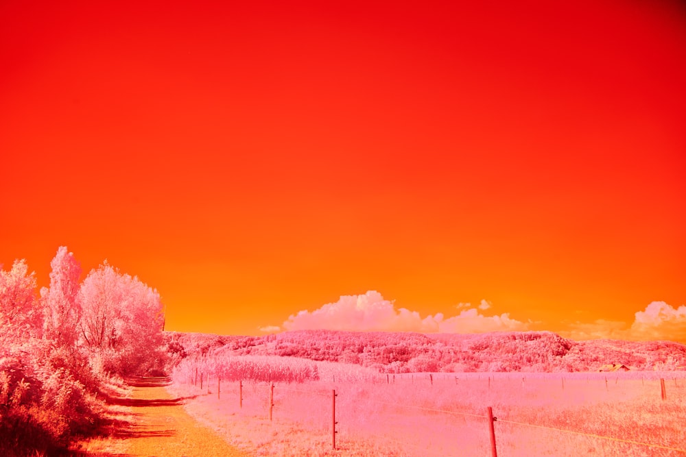 a red sky over a field with trees