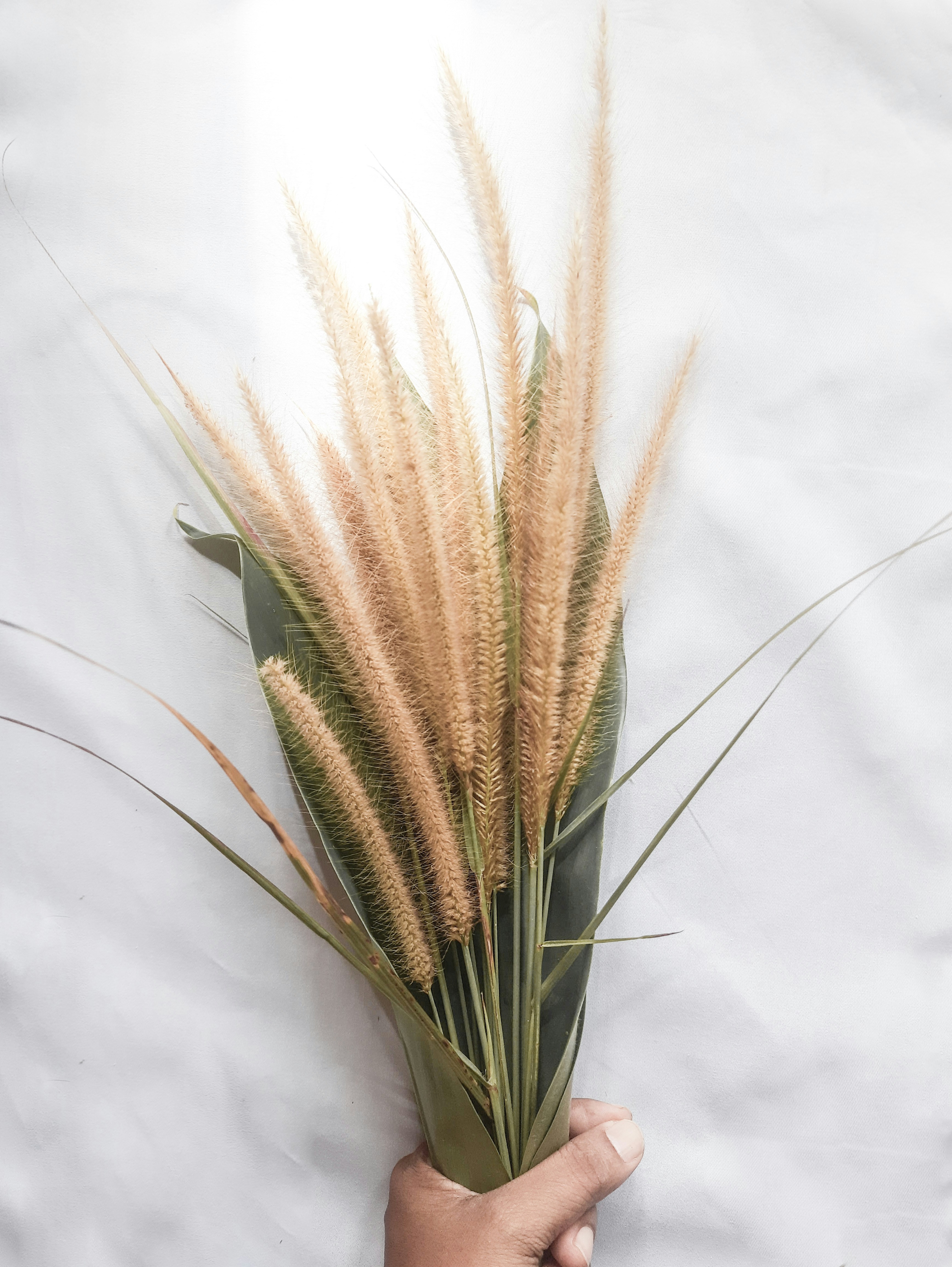 Photo by dilani_wicky