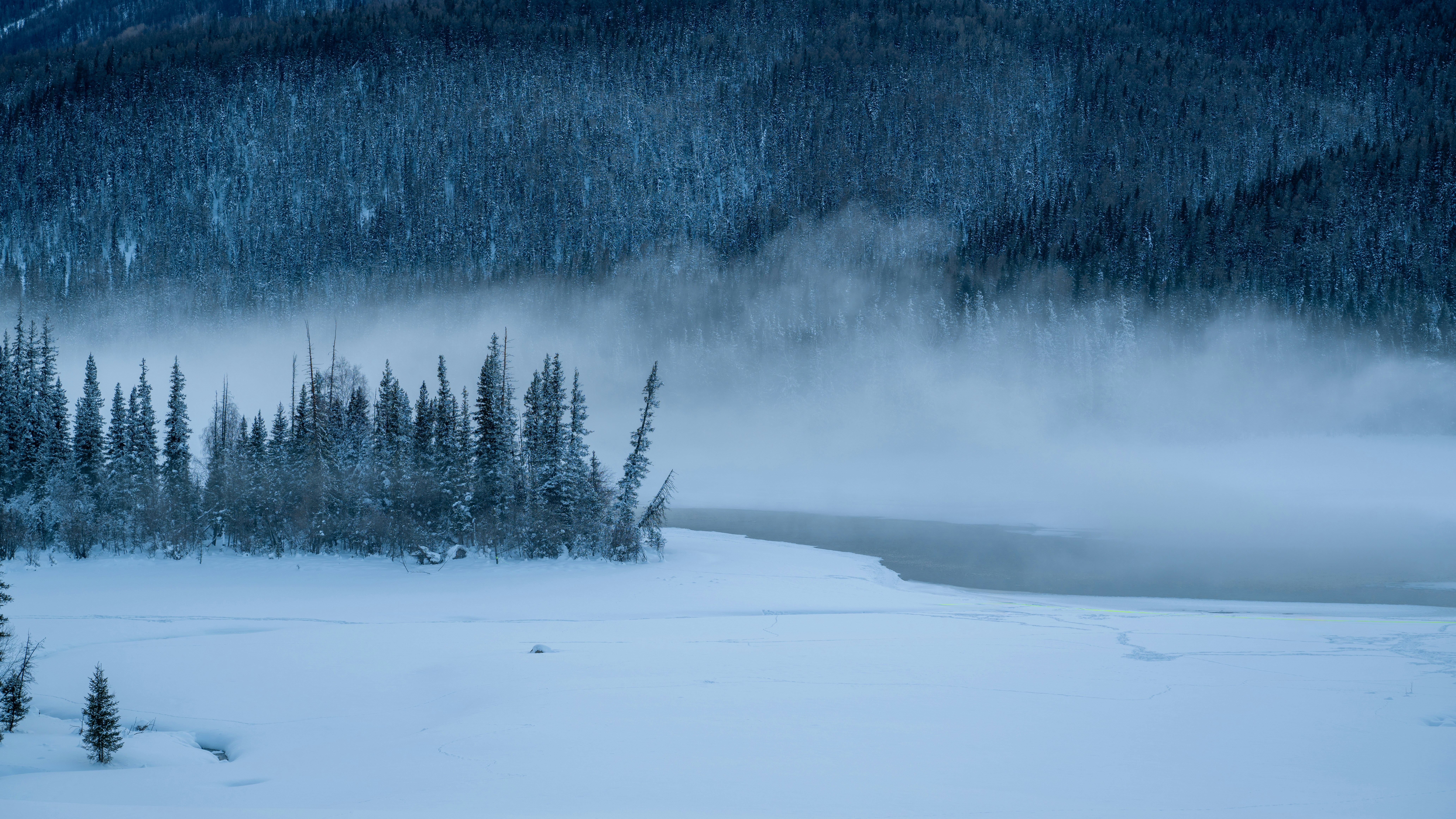 a snowy landscape with trees and a body of water