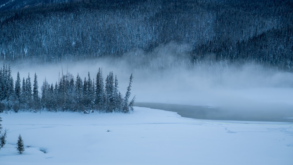 a snowy landscape with trees and a body of water